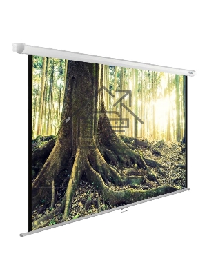 Экран Cactus 220x220см WallExpert CS-PSWE-220x220-WT 1:1 настенно-потолочный рулонный