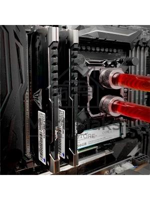 Оперативная память Patriot Viper Steel, DDR4, 64GB (2x32GB), 3600MHz, CL18, DIMM, радиатор, черный