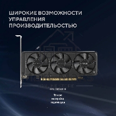 Видеокарта Asus GeForce RTX 5060 LP BRK, NVIDIA RTX 5060, 8Gb, GDDR7, 128 bit, PCI-E 5.0, HDMIx2, DPx1, HDCP, 2580 MHz