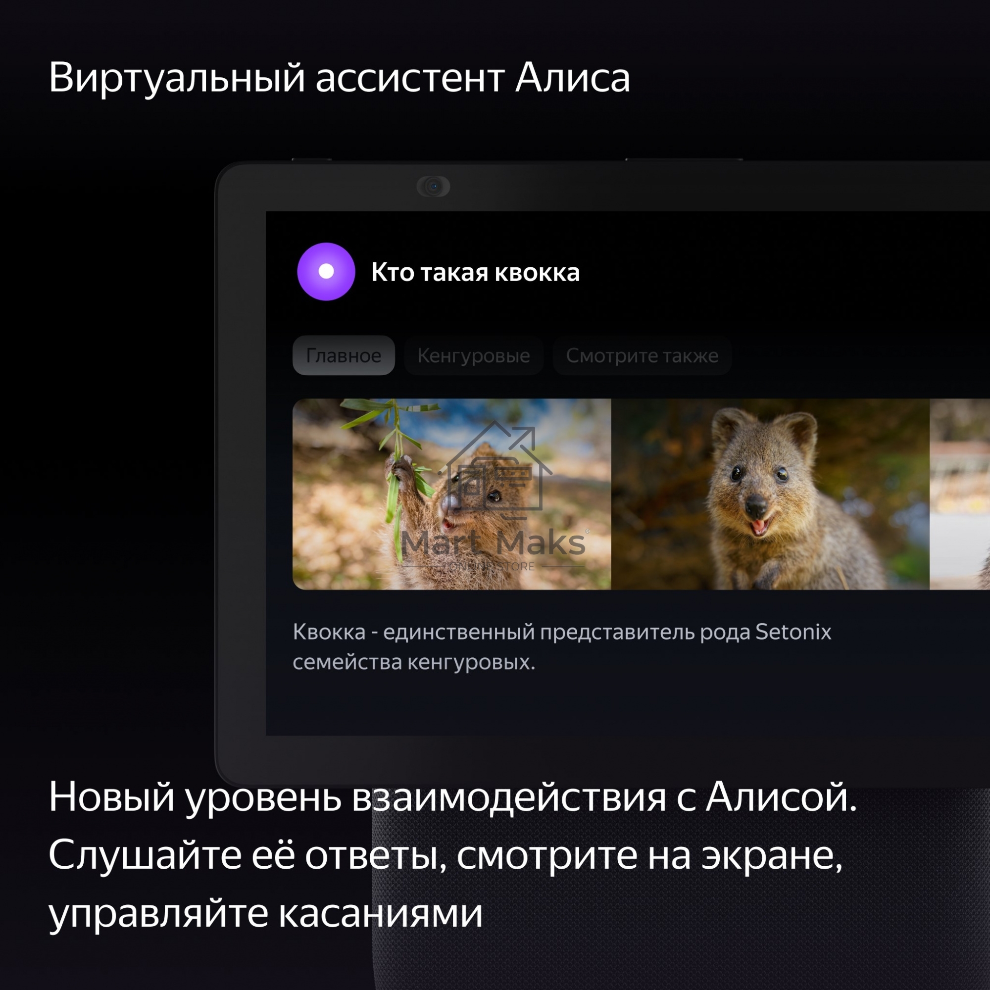 Умная колонка с дисплеем Яндекс Станция Дуо Макс, Zigbee, 60Вт, с голосовым ассистентом Алиса на YaGPT, черный (YNDX-00055BLK)