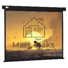Экран Cactus 150x150см Wallscreen CS-PSW-150X150-BK 1:1 настенно-потолочный рулонный черный