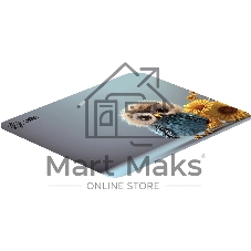 Коврик для мыши Cactus Owl gray рисунок 300x50x3мм (CS-MPC-D12M)