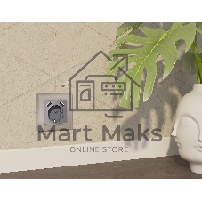Комплект механизма электрической розетки ALFA Сталь матовый 2USB A+A 18W (быстрая зарядка) с/з QUANT (AP5090, VM155) MA509010