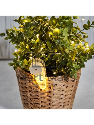 Гирлянда Neon-night 