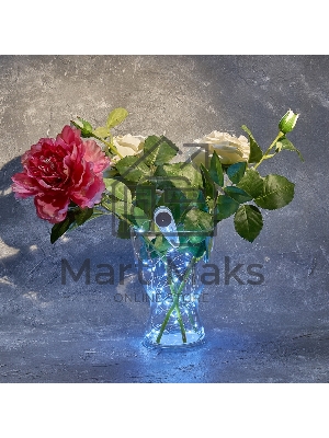 Гирлянда Neon-night 