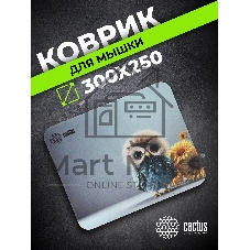 Коврик для мыши Cactus Owl gray рисунок 300x50x3мм (CS-MPC-D12M)