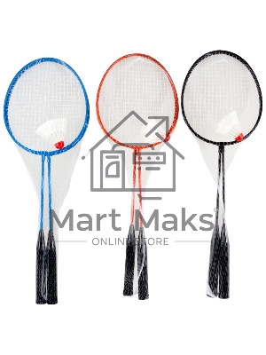 Ecos Набор для игры в бадминтон   BdSet-01