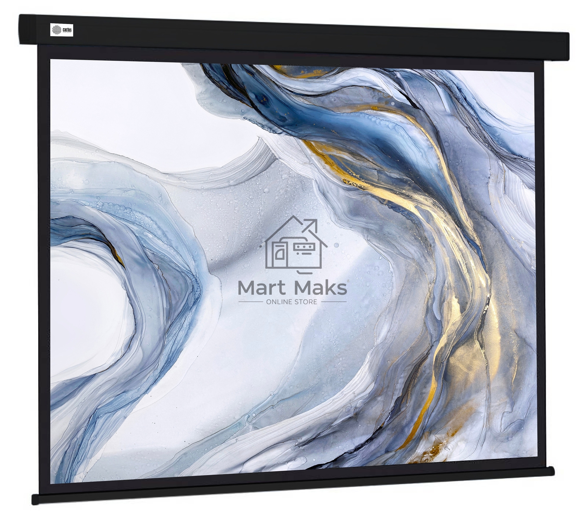 Экран Cactus 180x180см Wallscreen CS-PSW-180X180-BK 1:1 настенно-потолочный рулонный черный