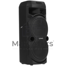Акустическая система AIWA CAS-656
