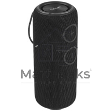 Колонка беспроводная AIWA PAS-H300 черный