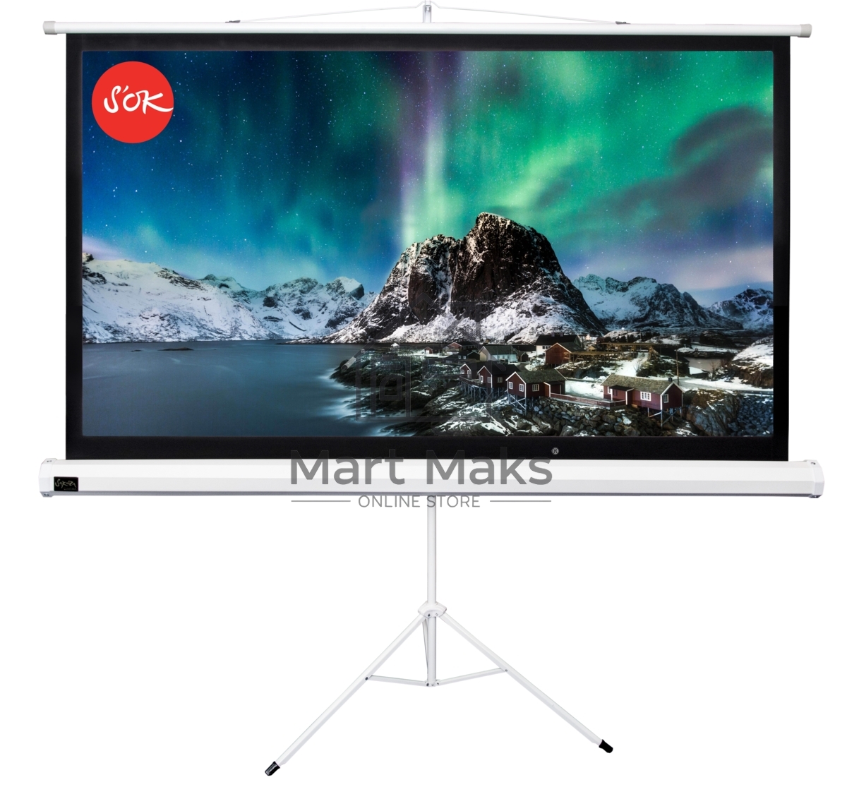 Экран 221x124.5см TriScreen 16:9 напольный рулонный белый100' Matt White (MW)