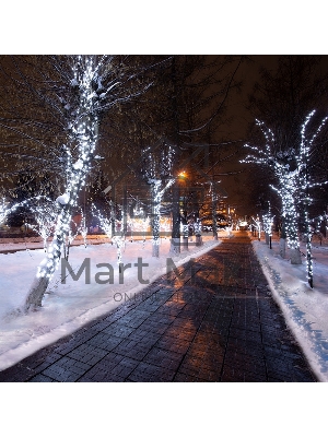 Гирлянда Neon-night LED Клип-лайт 12 V, прозрачный ПВХ, 150 мм, цвет диодов белый