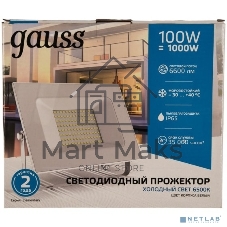 Прожектор светодиодный GAUSS 613120300 Gauss Elementary 100W 6600lm IP65 6500К белый