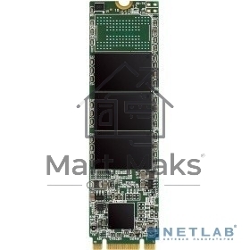 Накопитель SSD Silicon Power A55, 512GB, M.2 2280, SATA III, R/W 560/530