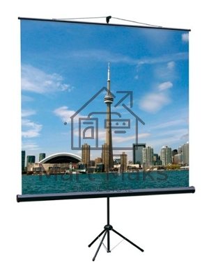 Экран на треноге Lumien 180x180 см Eco View LEV-100102 1:1 напольный рулонный