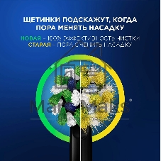 Электрическая зубная щетка Oral-B Vitality Pro 80368961 черный