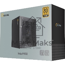 Блок питания Ocypus Iota P850, 850Вт, 80+ Gold, 120мм, модульный, черный