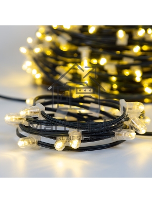 Гирлянда Neon-night LED Clip Light 12V шаг 150 мм, цвет диодов теплый белый, Flashing (белый)