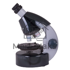 Микроскоп Levenhuk LABZZ M101 MOONSTONE Лунный камень