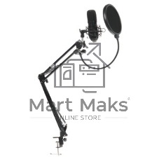 Микрофон Ritmix RDM-169 черный
