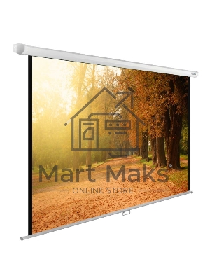 Экран Cactus 125x200см WallExpert CS-PSWE-200x125-WT 16:10 настенно-потолочный рулонный