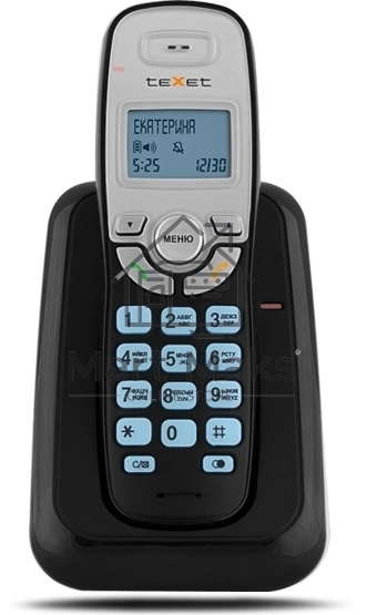 Радиотелефон teXet TX-D6905A черный (громкая связь,телефонная книга на 50 имен и номеров, определитель номера, будильник)