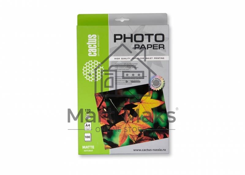 Фотобумага Cactus CS-MA4170100 матовая A4 170 г/м2 100 листов
