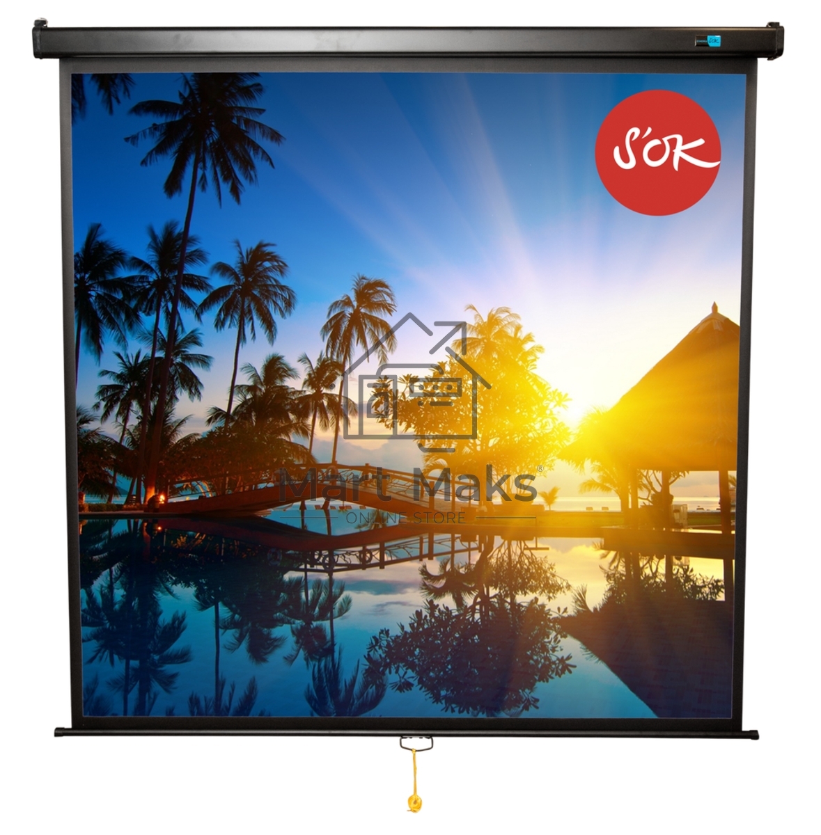 Экран 200x200см Wallscreen 1:1 настенно-потолочный рулонный белый111' Matt White (MW), черный корпус