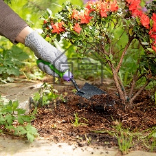 Совок посадочный узкий Palisad ERA 65х300 мм, стальной, обрезиненная эргономичная рукоятка