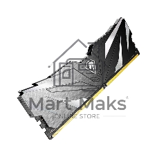 Оперативная память NETAC, DDR4, 16GB (1x16GB), 2666MHz, CL19, DIMM, с радиатором, черный