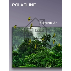 Телевизор PolarLine 65