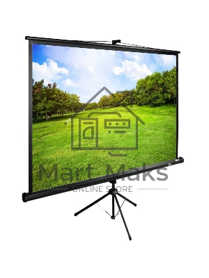 Экран Cactus 150x200см TriExpert CS-PSTE-200х150-BK 4:3 напольный рулонный