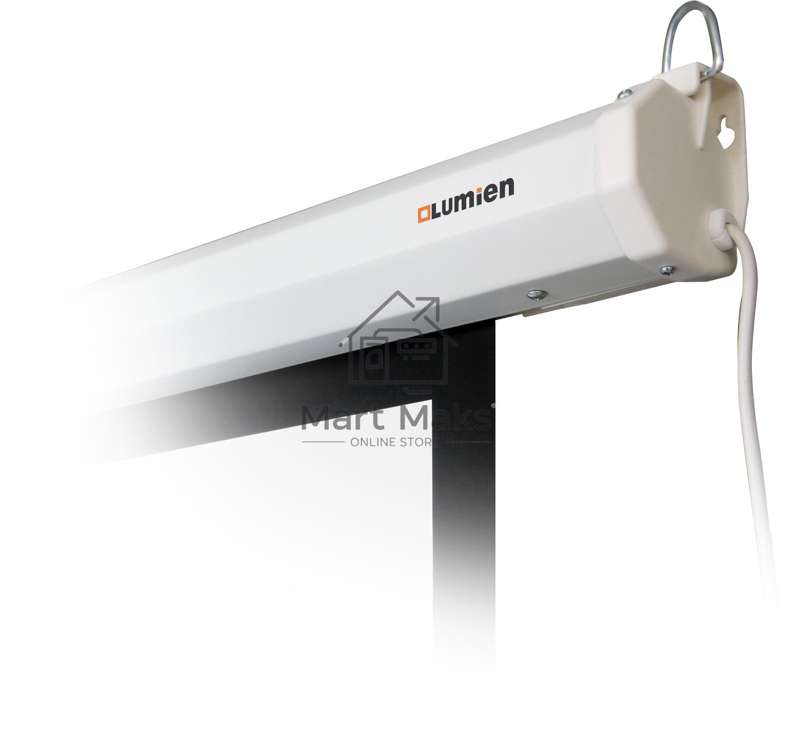 Экран с электроприводом Lumien Eco Control 229x305 см (раб. область 221х297 см) Matte White черная кайма по периметру 4:3