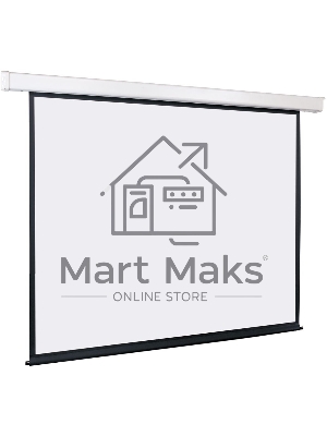 Экран с электроприводом Lumien Eco Control 229x305 см (раб. область 221х297 см) Matte White черная кайма по периметру 4:3