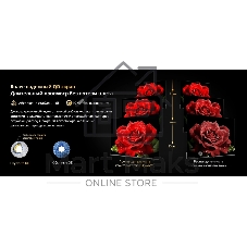 Телевизор Skyworth 75