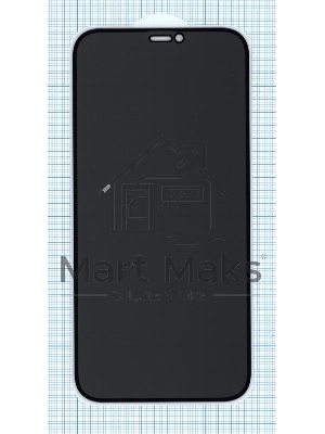 Защитное стекло Privacy 