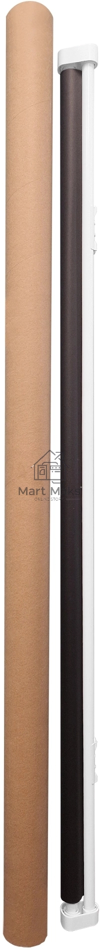 Экран Cactus 150x150см Map type CS-PSRM-150x150-BK 1:1 настенно-потолочный рулонный черный