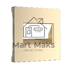 Накладка для двойной розетки Еthernet RJ-45 (шампань)