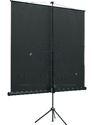 Экран на штативе Lumien Eco View 153x203см (раб.область147х197 см) Matte White с возможностью настенного крепления 4:3