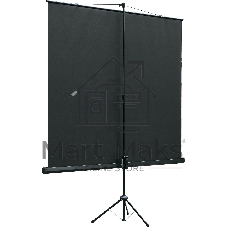 Экран на штативе Lumien Eco View 128x171 см (раб.область122х165 см) Matte White с возможностью настенного крепления 4:3
