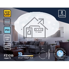 Потолочный светодиодный светильник Ambrella light FZ1018 WH белый 30W 6400K D380*55 (Без ПДУ)
