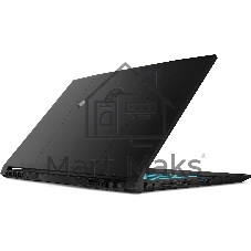 Ноутбук MSI Katana 17 B13VEK-1621XRUY Core i5 13420H 8Gb SSD512Gb NVIDIA GeForce RTX4050 6Gb 17.3