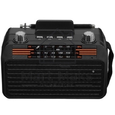 Радиоприемник SOUNDMAX SM-RD2114UB черный
