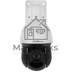 Камера видеонаблюдения Dahua DH-SD4A425DB-HNY