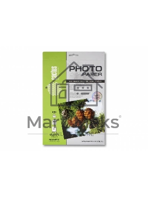 Фотобумага с магнитным слоем Cactus CS-MGA46902 глянцевая А4 690 г/м2 2 листа
