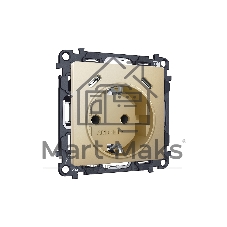 Комплект механизма электрической розетки 2USB С+C 20W (быстрая зарядка) с/з на винтовых зажимах 16A-250V ALFA Шампань QUANT (AP6105, VM165) MA610510