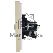 Розетка двойная TV+RJ45 кат.5E IEK FORTE&PIANO FP436 ваниль