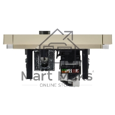 Розетка двойная TV+RJ45 кат.5E IEK FORTE&PIANO FP436 ваниль