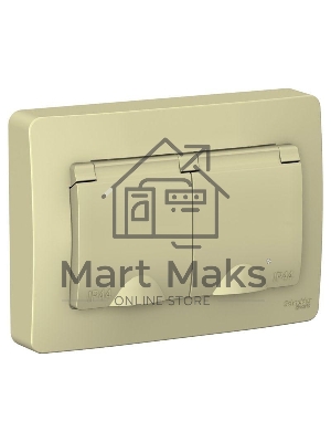 Розетка 2-м СП Blanca 16А 250В с защ. крышкой защ. шторки с заземл. IP44 беж. SchE BLNRS441127