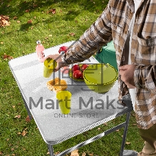 Стол складной Camping Palisad алюм., столешница МДФ, 900x600x300/700 мм